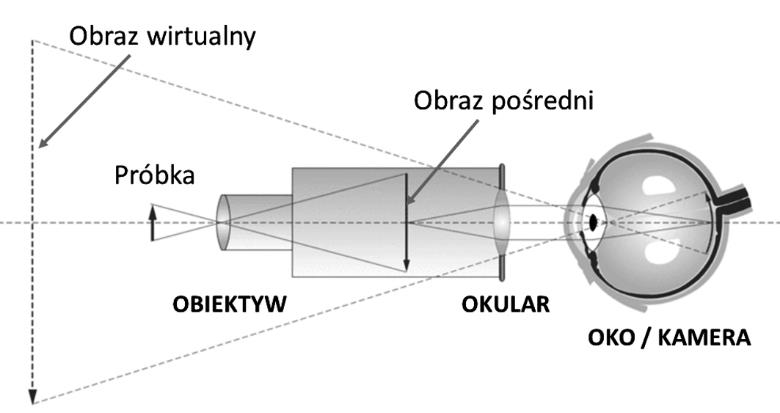 mikroskopia swietlna rys 2